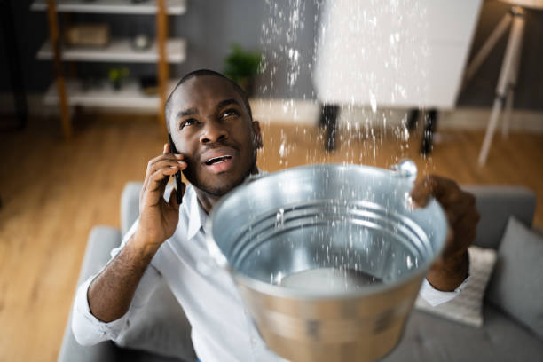 Best Flooded house restoration  in Lakeview, MI