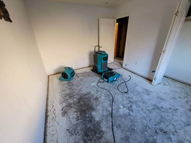 Best Sewage cleanup and water damage restoration  in Lakeview, MI