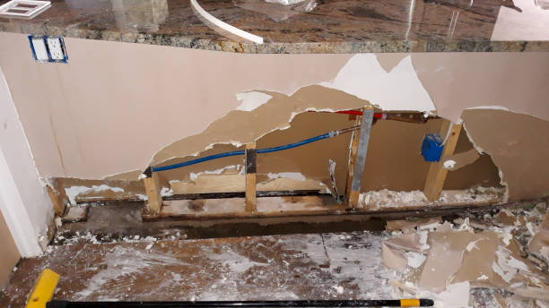 Best Flood restoration services  in Lakeview, MI
