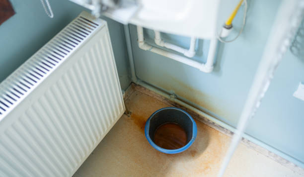Best Local water damage restoration  in Lakeview, MI