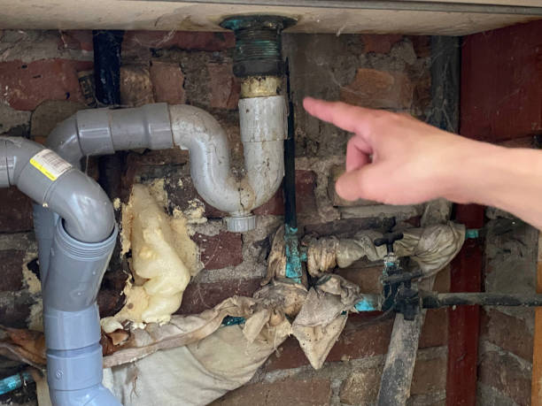 Best Sewage cleanup and water damage restoration  in Lakeview, MI