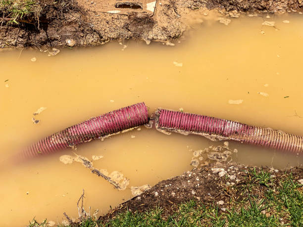 Best Water damage restoration process  in Lakeview, MI