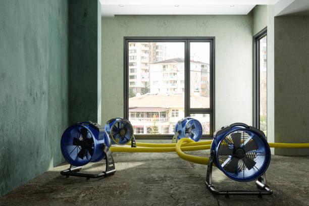 Best 24/7 water damage repair  in Lakeview, MI
